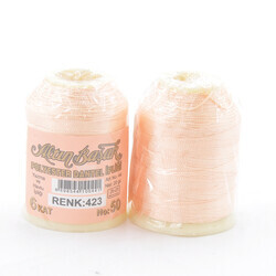 ALTINBAŞAK,20 GR POLYESTER 423,POLYESTER İPLİKLER 